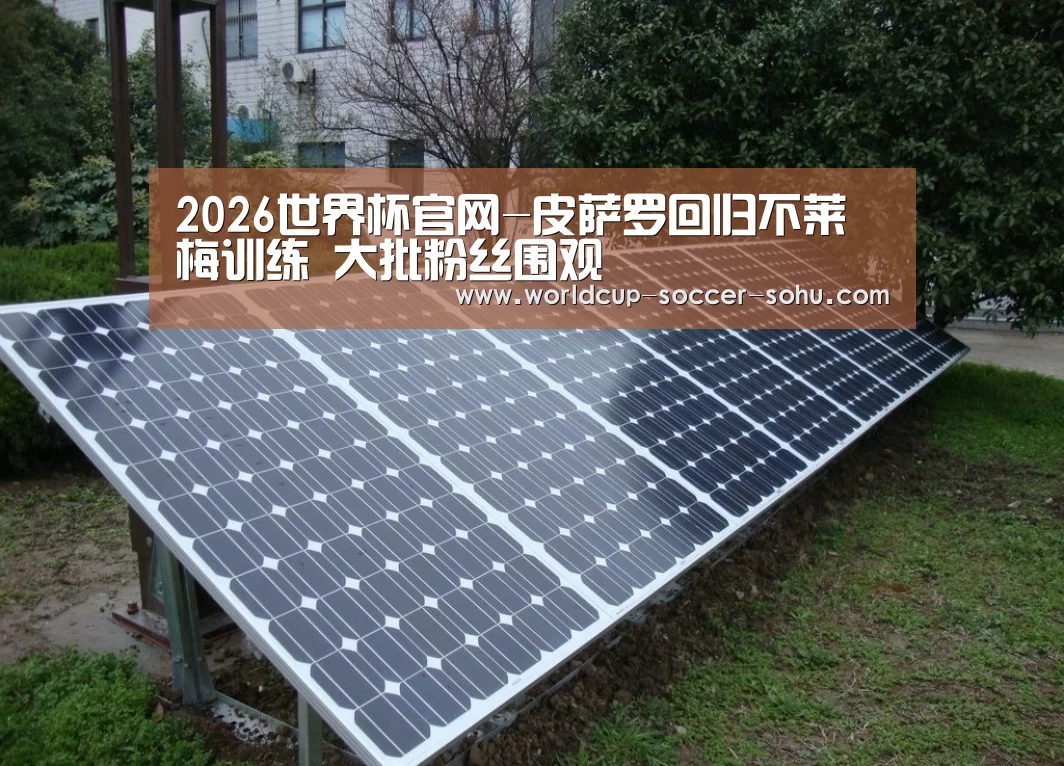2026世界杯官网-皮萨罗回归不莱梅训练 大批粉丝围观(图3) 2026世界杯官网
