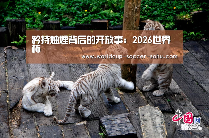 2026世界杯