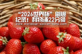 “2026世界杯”刷爆纪录!利物浦22分领跑英超 再赢7场铁定夺冠(图2) 2026世界杯官网